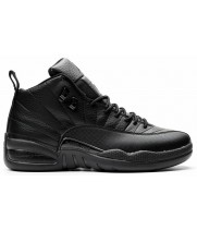 Кроссовки Nike Air Jordan 12 Retro Total Black
