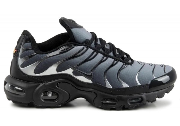Nike Air Max Plus Gore-Tex Termo Black Particle Grey