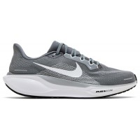 Nike Air Zoom Pegasus 41 Cool Grey