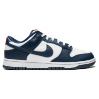 Nike Dunk Low USA