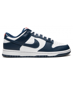 Nike Dunk Low USA