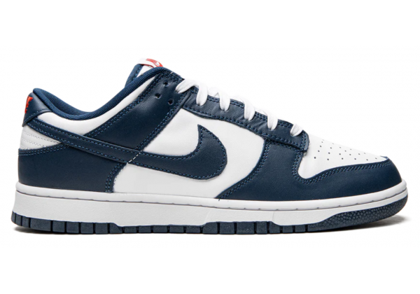 Nike Dunk Low USA