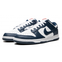 Nike Dunk Low USA