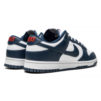 Nike Dunk Low USA