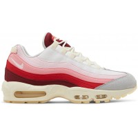 Nike Air Max 95 Anatomy of Air