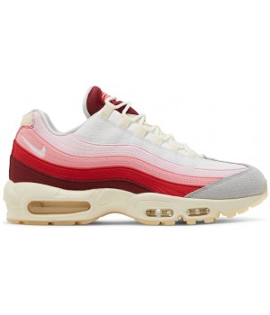 Nike Air Max 95 Anatomy of Air