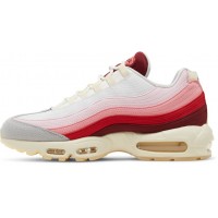 Nike Air Max 95 Anatomy of Air