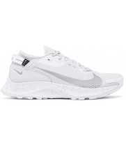 Nike Pegasus Trail 2 GTX Pure Platinum