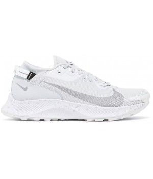 Nike Pegasus Trail 2 GTX Pure Platinum