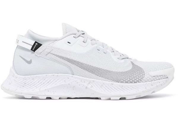 Nike Pegasus Trail 2 GTX Pure Platinum