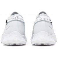 Nike Pegasus Trail 2 GTX Pure Platinum