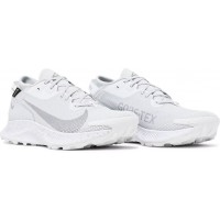Nike Pegasus Trail 2 GTX Pure Platinum
