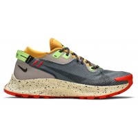 Nike Pegasus Trail 2 GTX Smoke Grey Bucktan