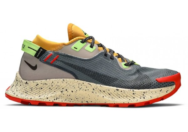 Nike Pegasus Trail 2 GTX Smoke Grey Bucktan