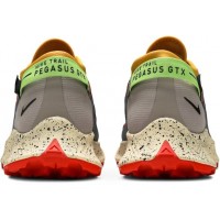 Nike Pegasus Trail 2 GTX Smoke Grey Bucktan