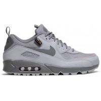 Кроссовки Nike Air Max 90 Surplus Wolf Grey Salt
