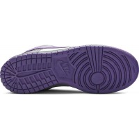 Nike Air Force 1 SB Dunk Purple Pigeon зимние