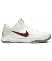 Nike Zoom Kobe 5 Lower Merion Aces Home