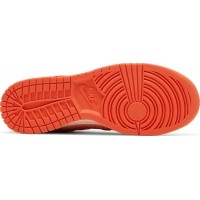 Nike Dunk Low Winter Solstice