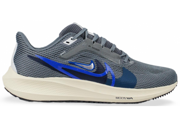 Nike Pegasus 40 Grey Blue