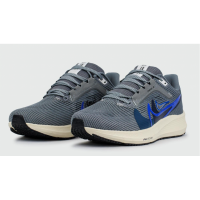 Nike Pegasus 40 Grey Blue