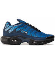 Nike Air Max Plus TN Honeycomb Blue