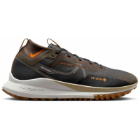 Nike Pegasus Trail 4 Gore-Tex Brown