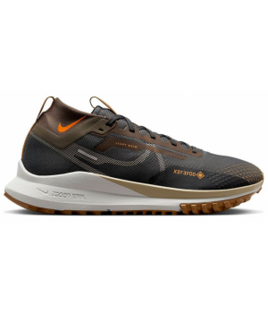 Nike Pegasus Trail 4 Gore-Tex Brown