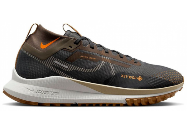 Nike Pegasus Trail 4 Gore-Tex Brown