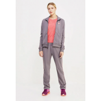Костюм спортивный женский Nike Women's Sportswear Track Suit серый