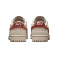 Nike Air Force 1 SB Dunk Low WMNS Terry Swoosh
