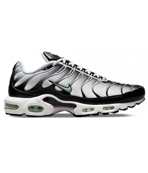 Nike Air Max TN Plus Silver
