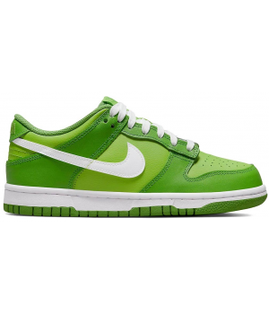 Nike Air Force 1 SB Dunk Low Kermit