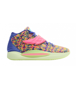 Кроссовки Nike Kd14 Multicolor