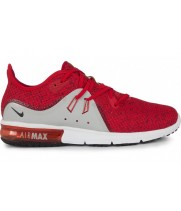 Кроссовки Nike Air Zoom Pegasus Red